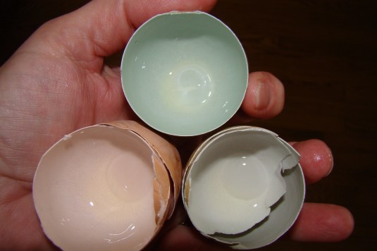 Eggshells