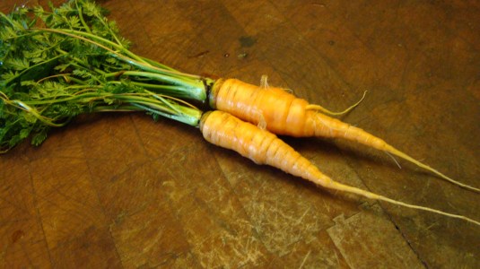 Carrots