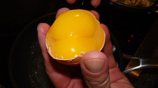 yolk