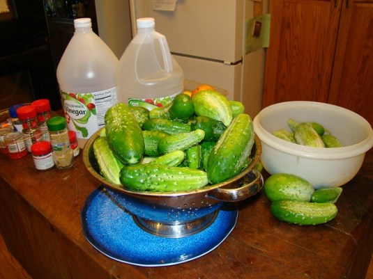 Cukes3